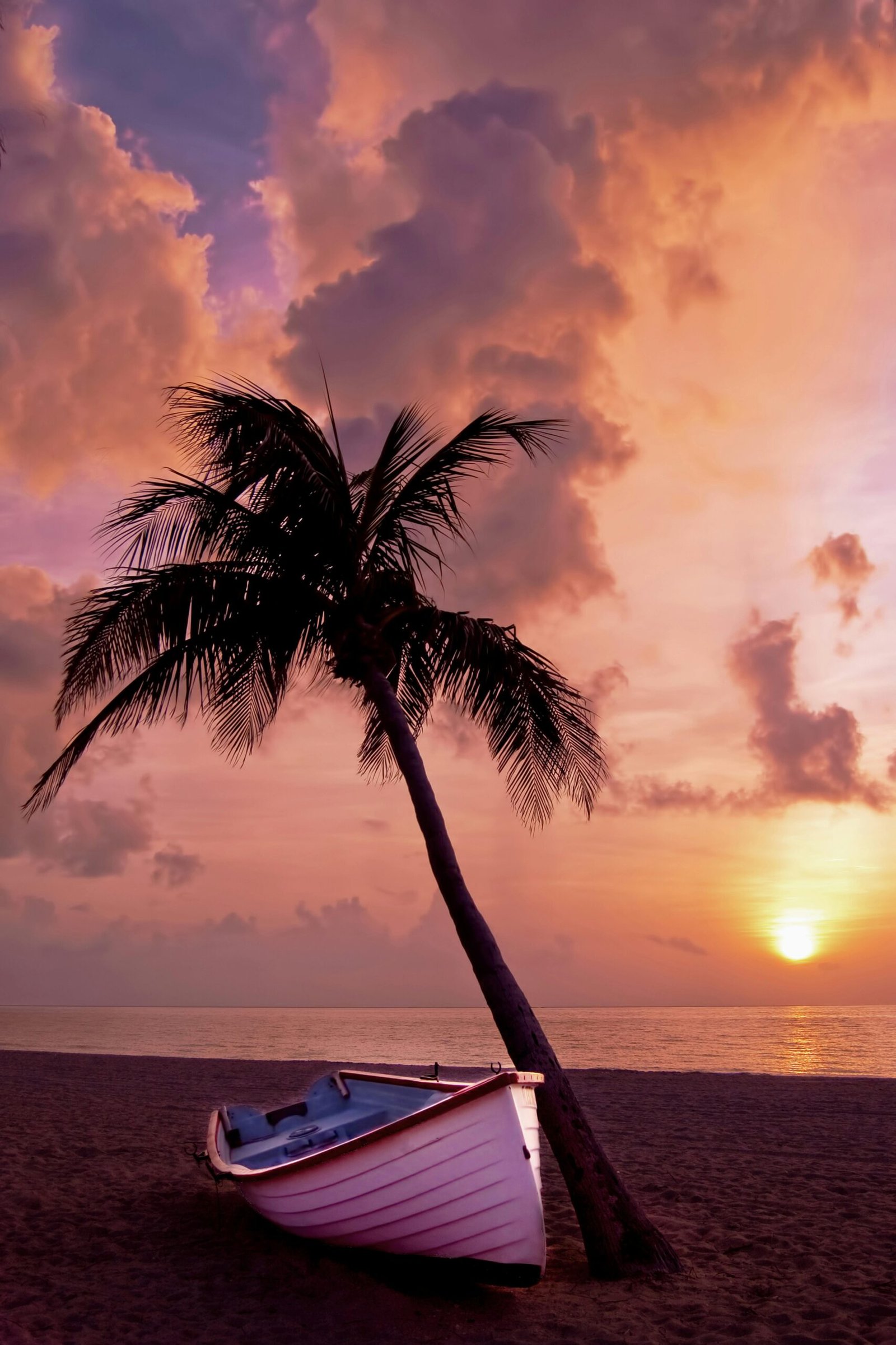 A tranquil beach scene with a palm tree and boat at sunset, perfect for backgrounds.